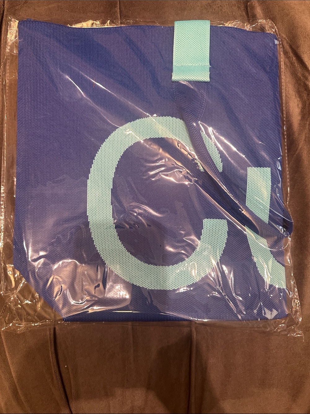 Blue Canvas Tote with Mint Accent